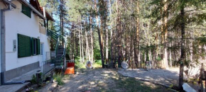 Forest villa Atlantic